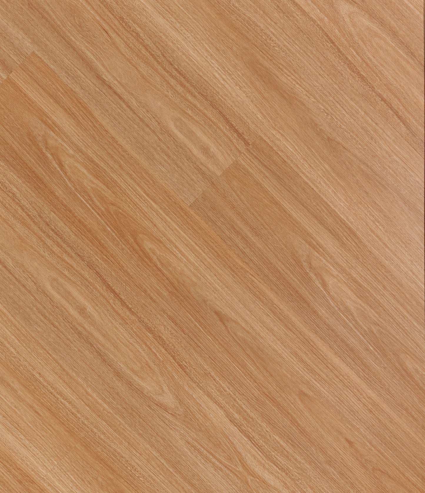 AC235 ACORN PINE