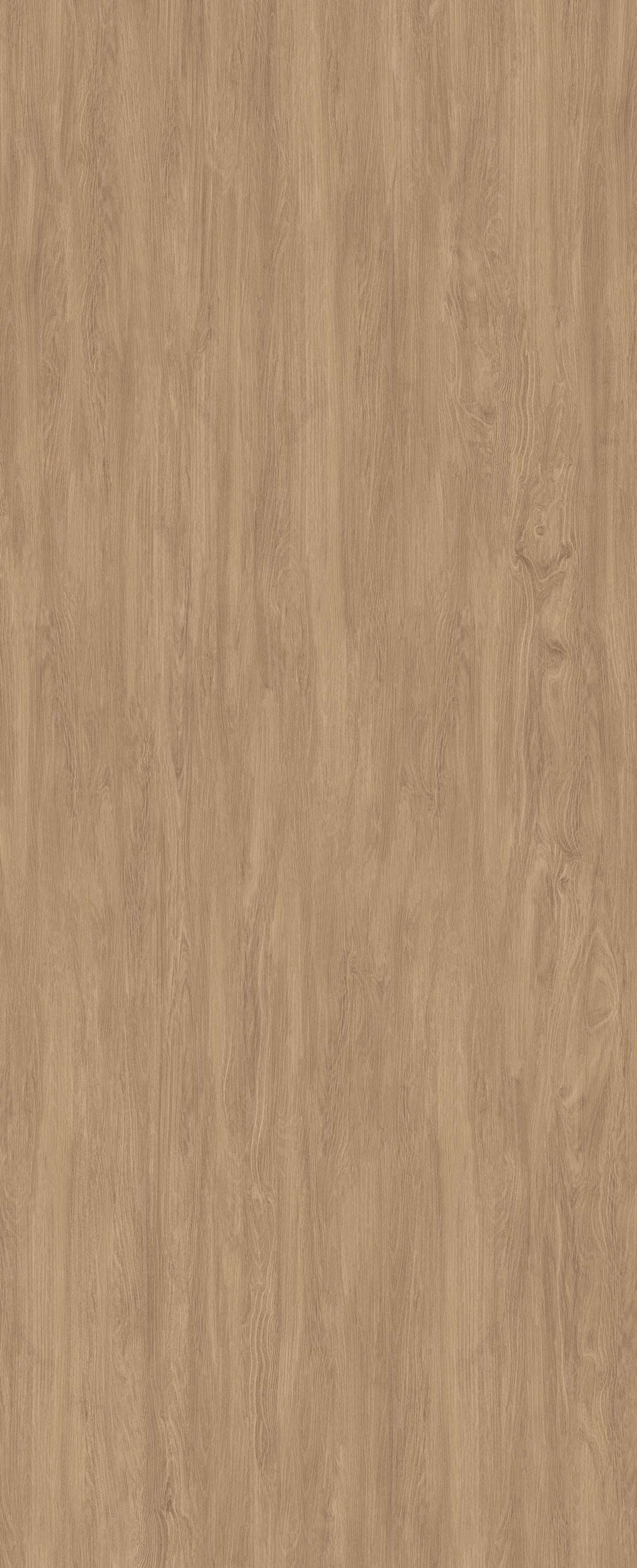 AS89 NORTH AMERICAN OAK