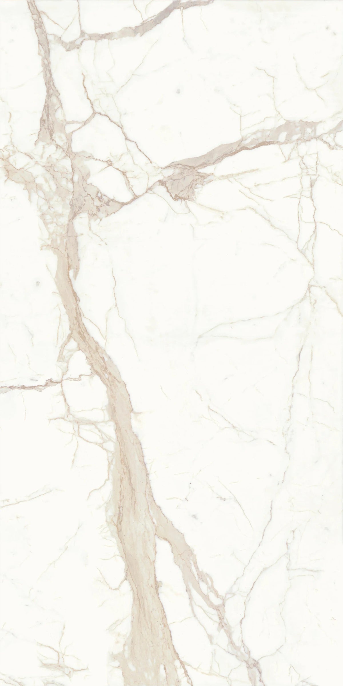BIANCO CALACATTA