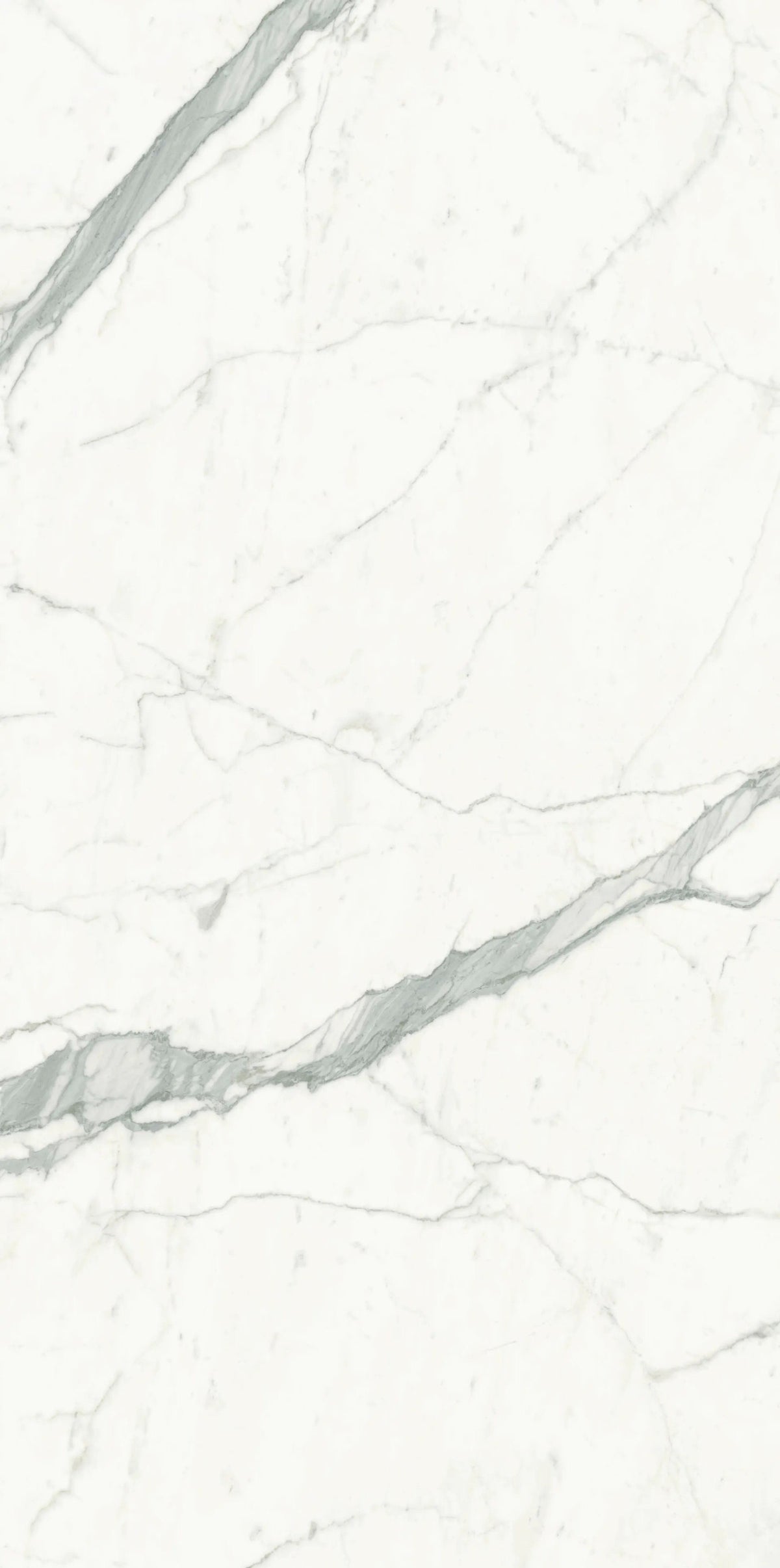 BIANCO VENATO