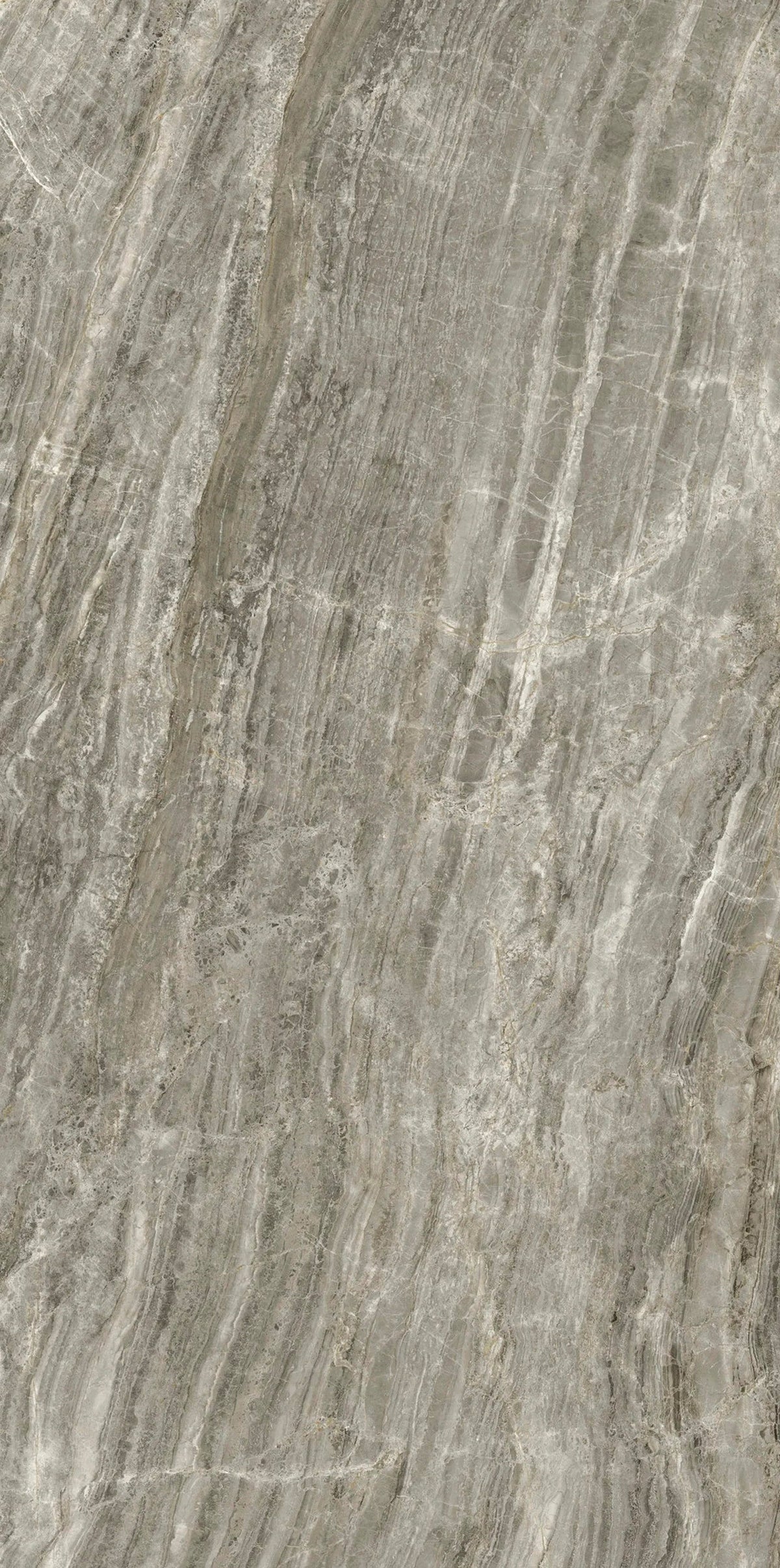 DAINO GRIGIO