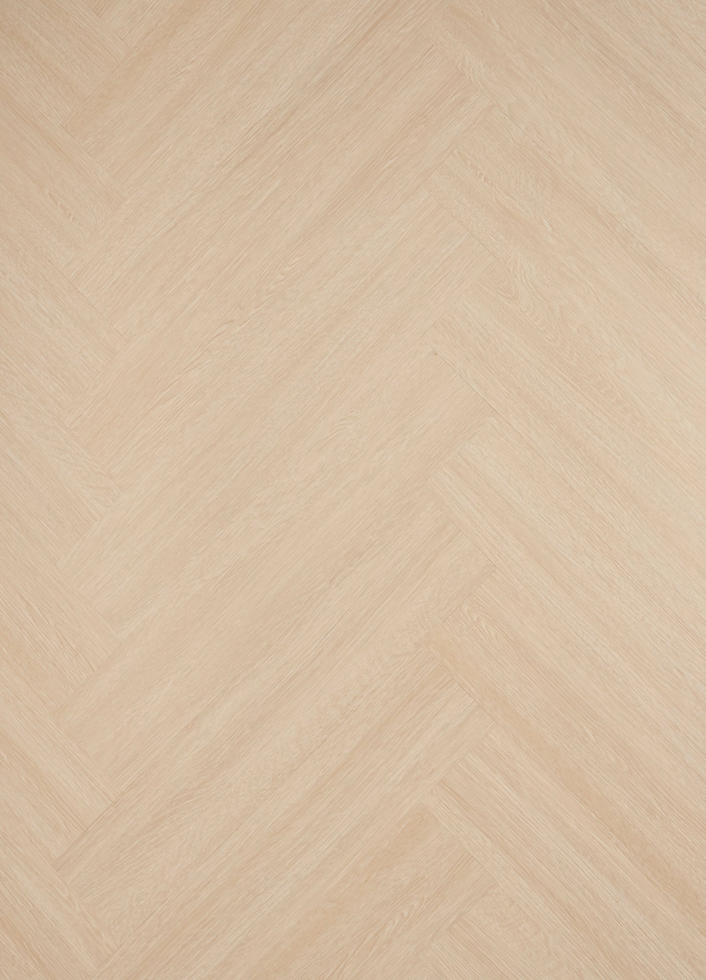 HC002 SCANDI